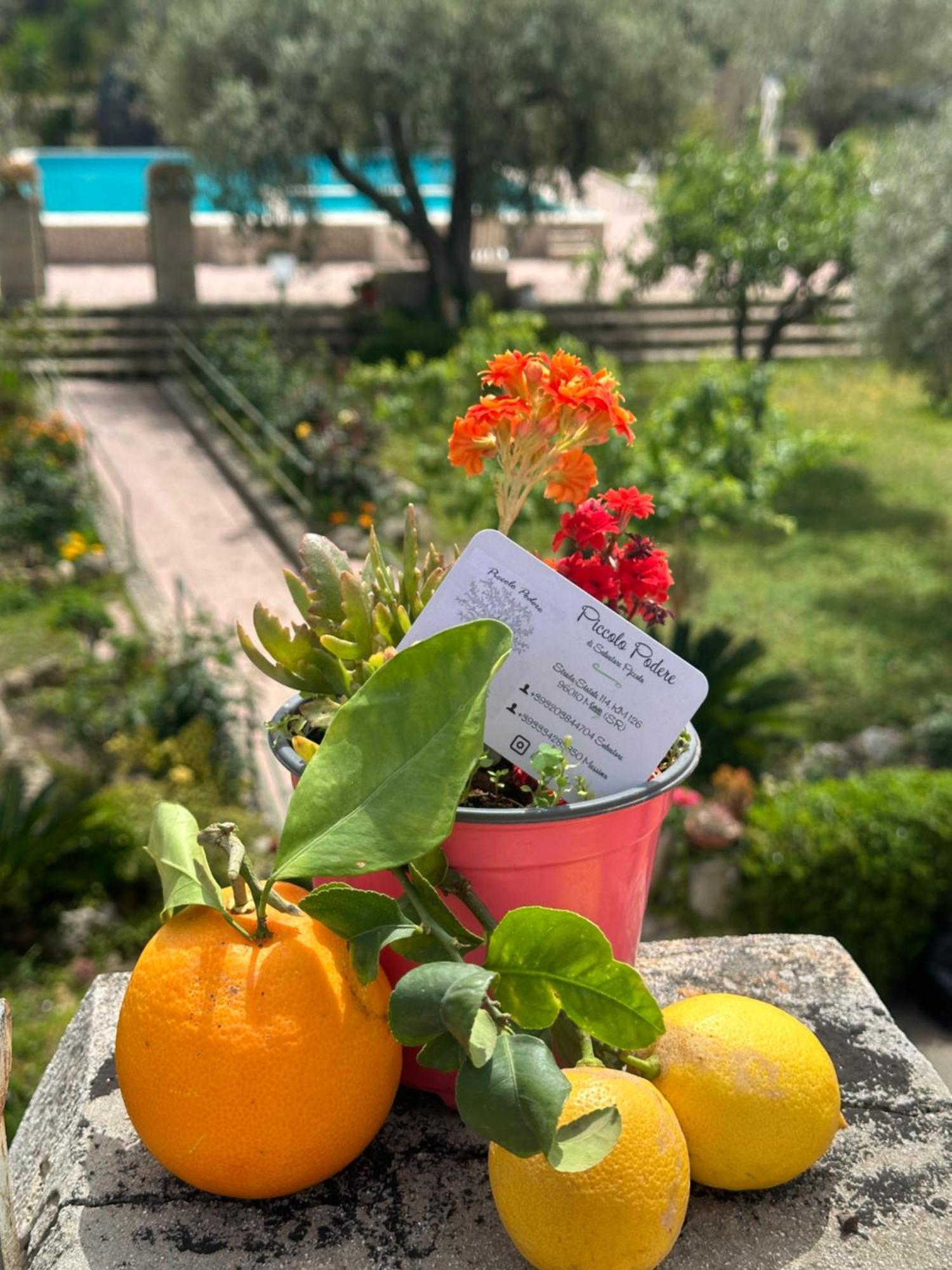 Apartament Piccolo Podere Melilli Zewnętrze zdjęcie